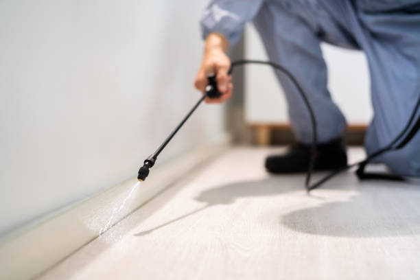 Licensed Cockroach Control service in Winfield, WV - Nex Pest Control